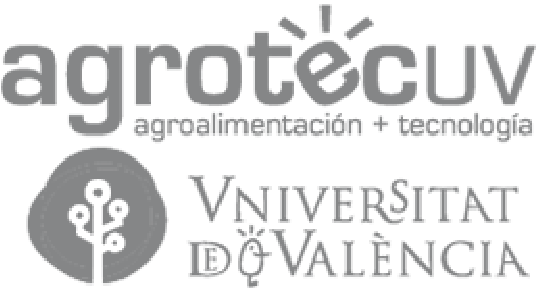 Universidad de valencia